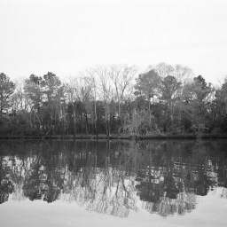 A Month In Film Photos: Olympus Infinity Stylus