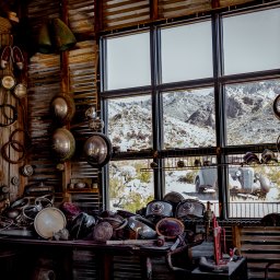 I Might Be Autotelic