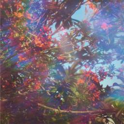 Background Music for Work, Studying, Etc.