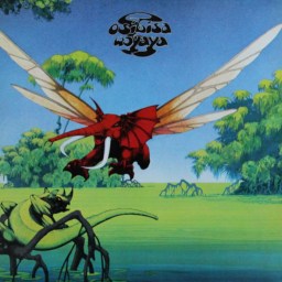 Today’s Song: Move On by Osibisa