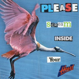 Please Scream Inside Your Heart