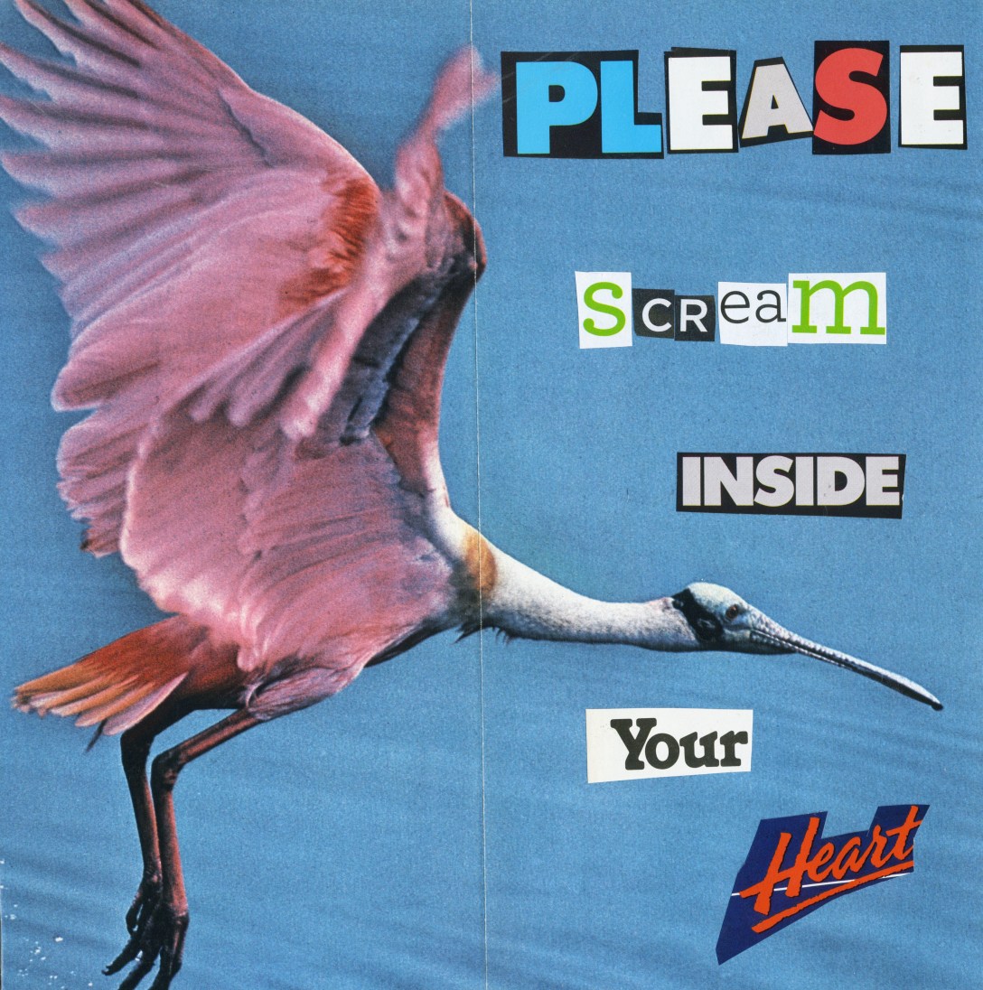 0e504d81-3c23-4fc2-b7db-1b178a0cb4b5